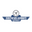 Southern Airways Express Southern Airways Express