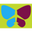 Jin Air Jin Air