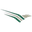MasAir MasAir