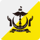 Авиакомпания Royal Brunei