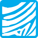 Air Botswana Airline