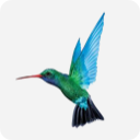 Авиакомпания Caribbean Airlines