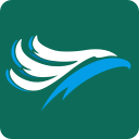cebu pacific