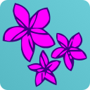 Air Rarotonga
