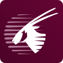 الخطوط القطرية