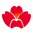 Qingdao Airlines