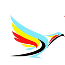 Eswatini Air
