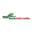 Logo Miccolis