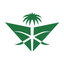 Saudi Arabian Airlines