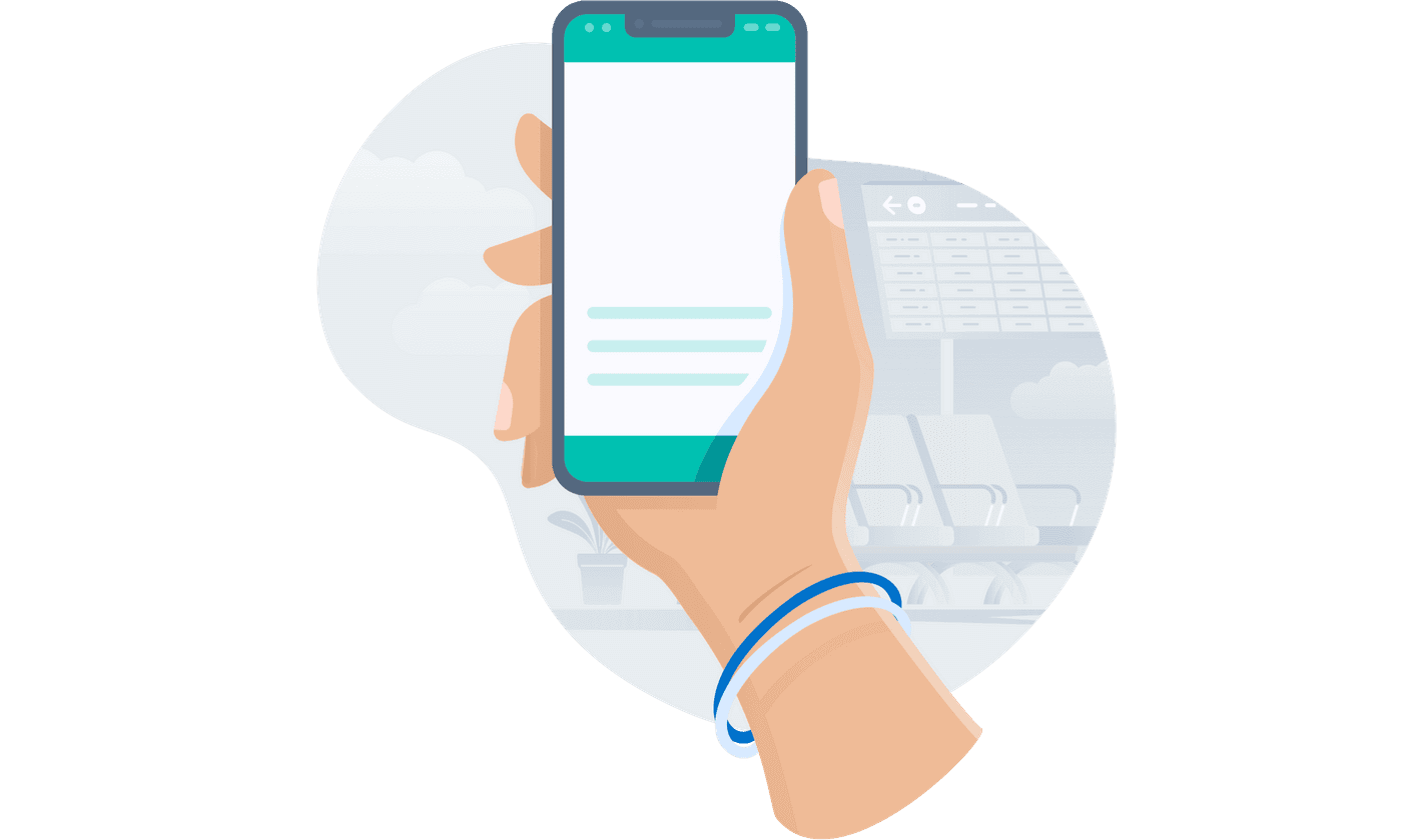 chat kiwi online
