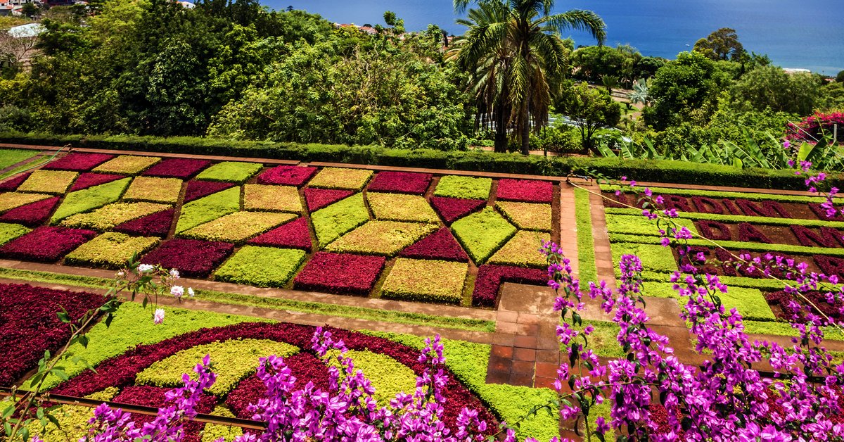 London‎ Funchal FNC‎ trips