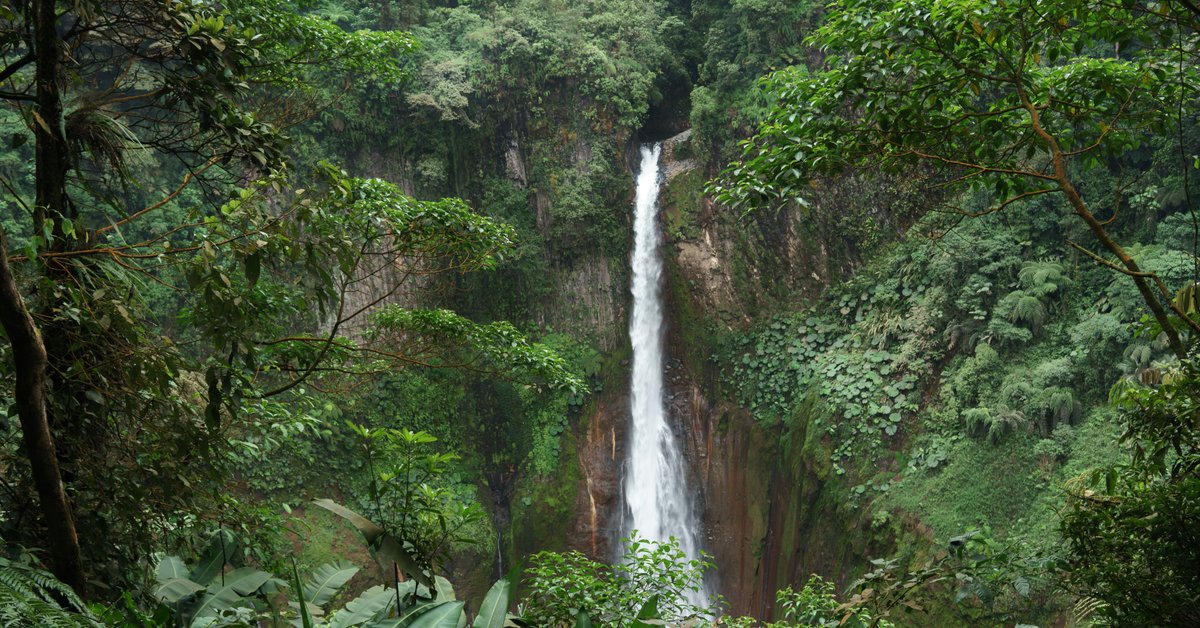 Cheap flights from San José to La Fortuna, San Carlos