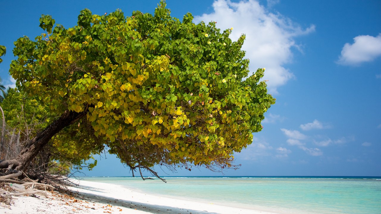 Agatti Island
