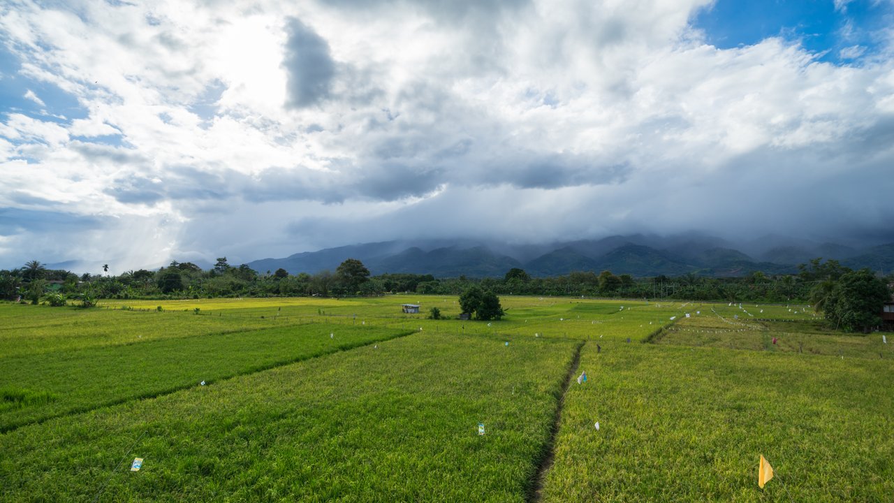 Bario