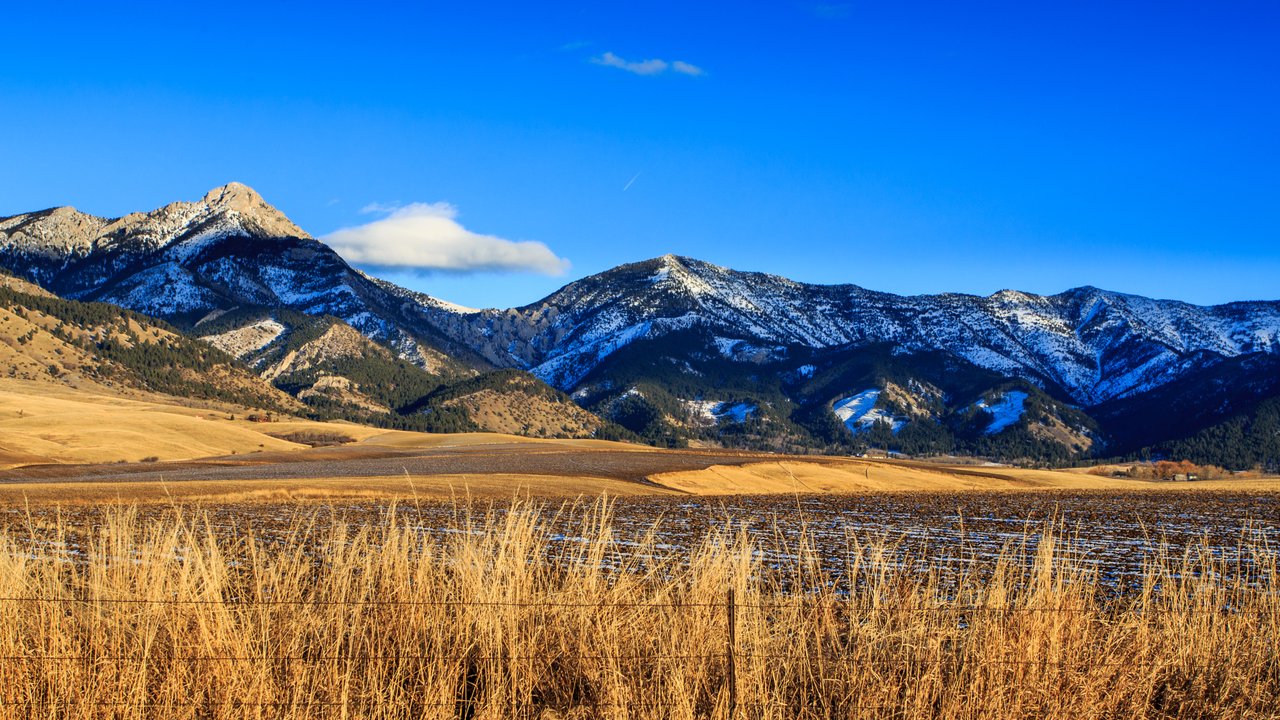 Bozeman