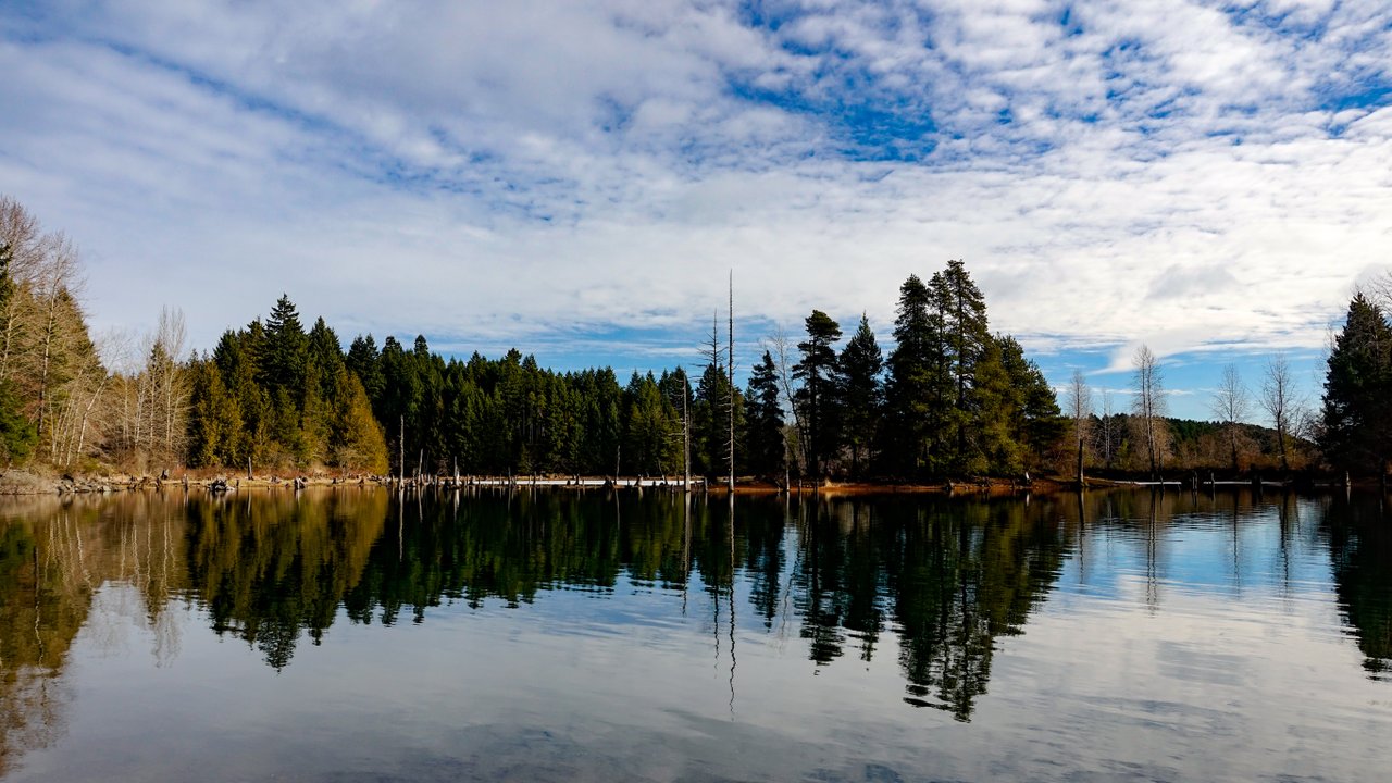Comox