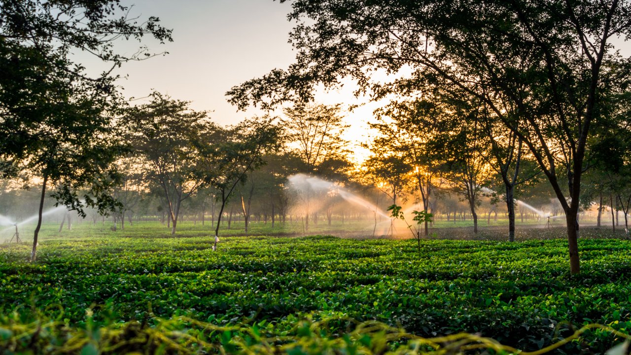 Dibrugarh