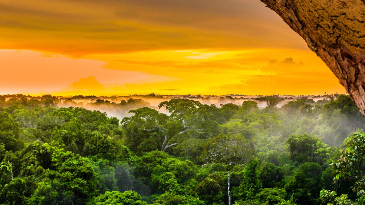 Leticia (Amazonia)