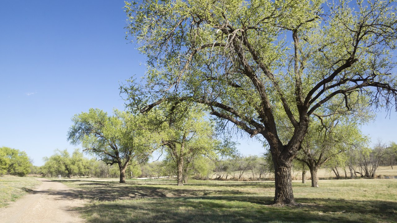 Lubbock