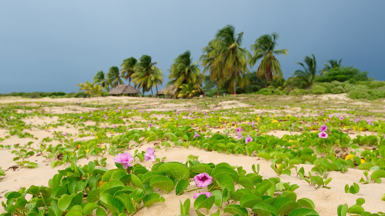 Riohacha