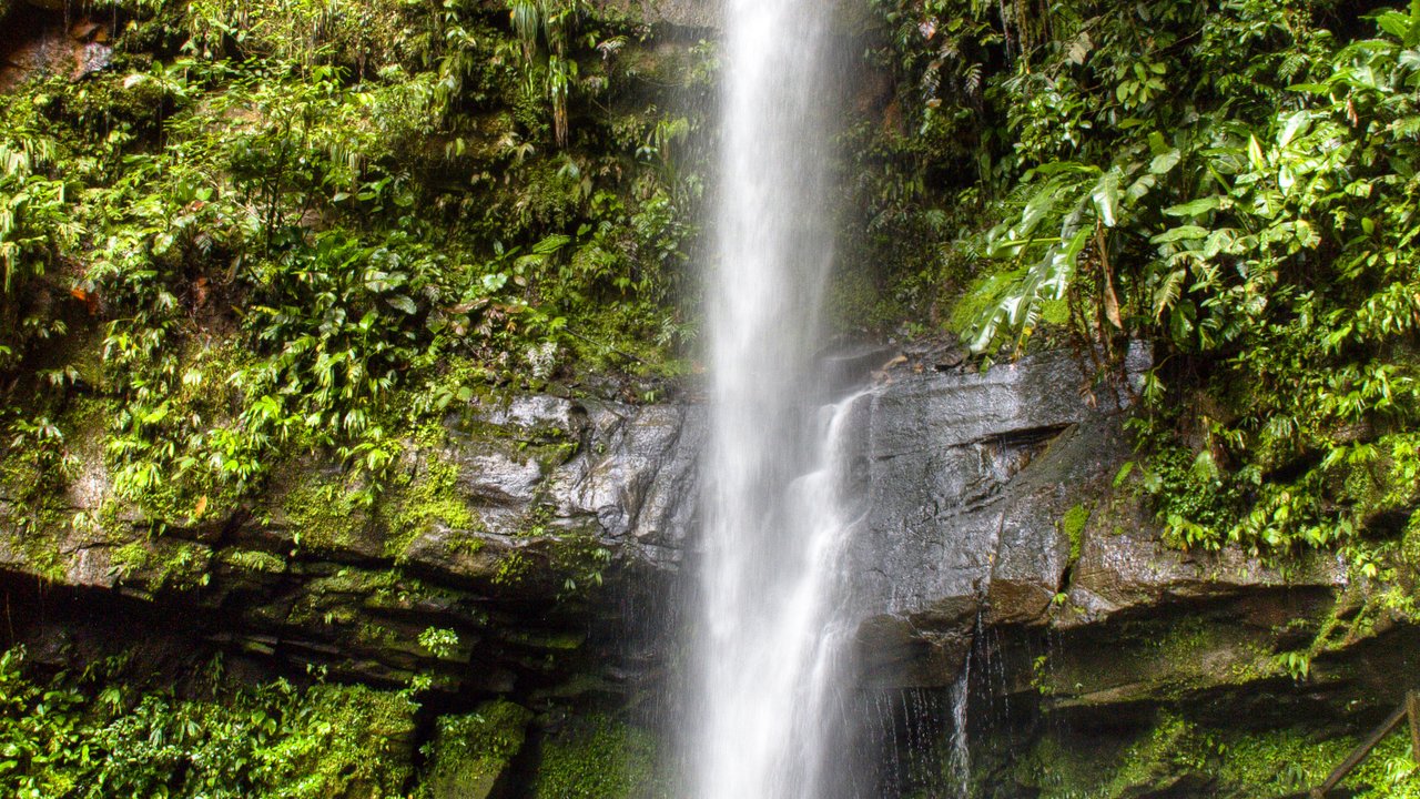 Tarapoto