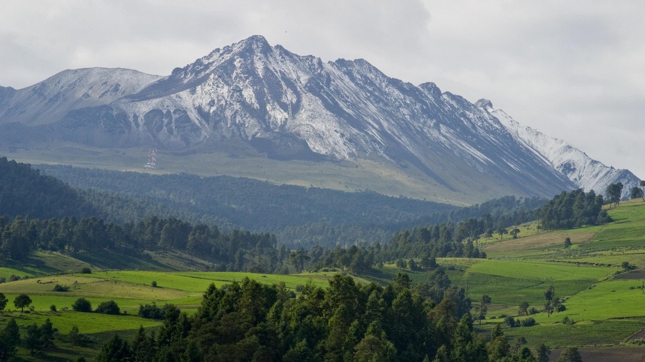 Toluca