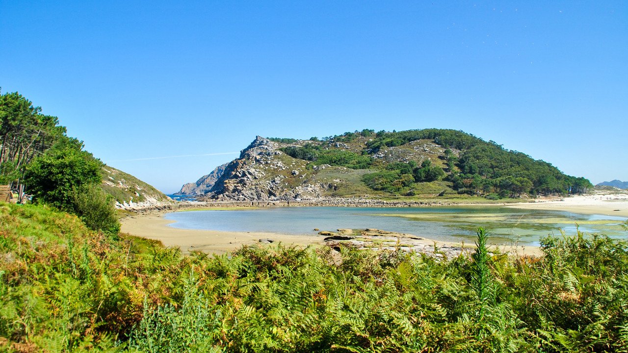 Vigo