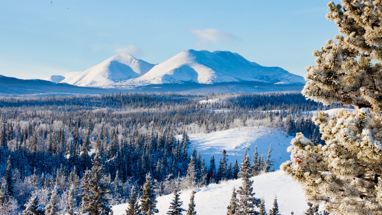 Whitehorse