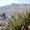 Flyrejser til Ciudad Juárez