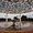 Flights to Geraldton