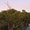 Flights to Mildura