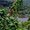 Vols vers Pohnpei
