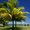 Idaho Falls to Porto Seguro