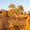 Flüge nach Tennant Creek