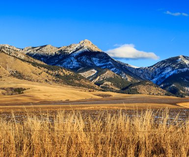 Flights to Bozeman