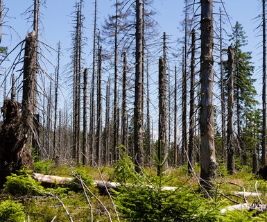 Flüge nach Burnt Pine