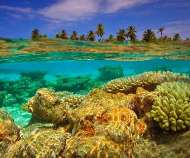 Kaadedhdhoo