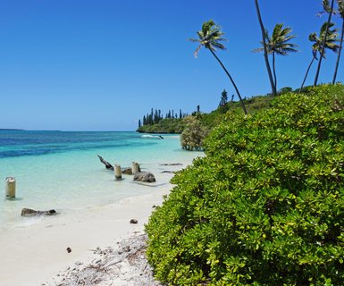 טיסות לIsle of Pines