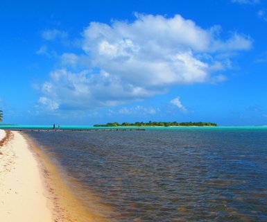 Flüge nach Little Cayman