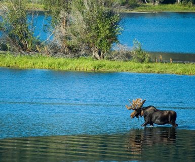 Moosonee