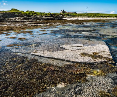 Papa Westray