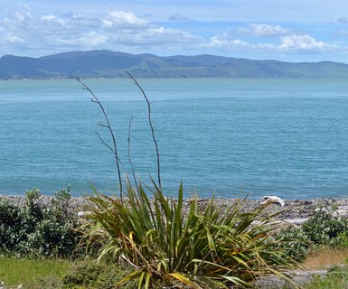 Vols vers Paraparaumu