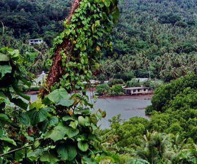 Vols vers Pohnpei