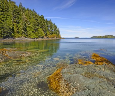 Port Hardy