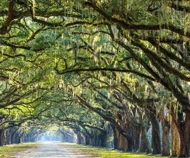 Savannah, United States