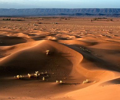 Flights to Zagora