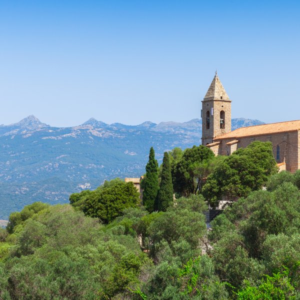 Figari fr