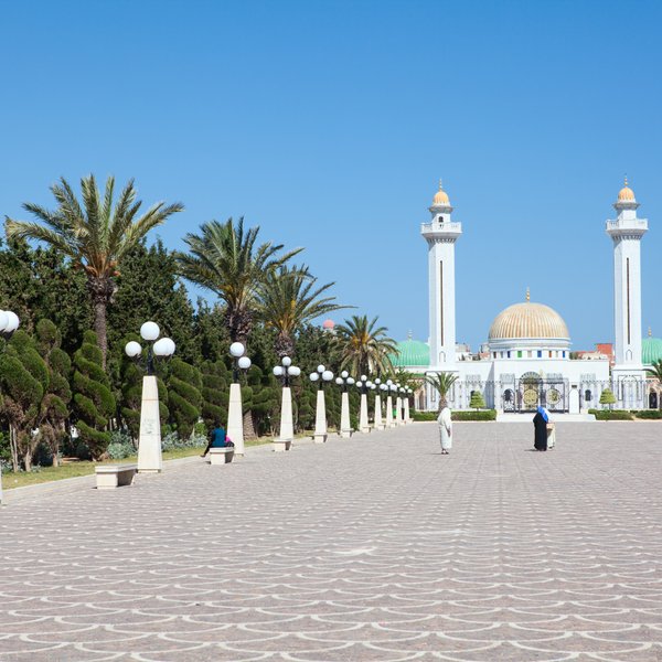 Tunis tn